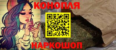 прущие грибы Краснодар