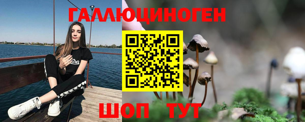 Галлюциногенные грибы Psilocybe  Галлюциногенные грибы Cubensis  Вход с VPN  Каменка 